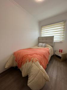 洛斯安赫莱斯Maravilloso dpto 2 dormitorios的一间卧室设有一张大床和窗户