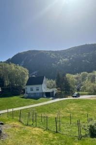 TjørvågFeriehus og naust i idylliske omstendigheter的田野上道路边的房子