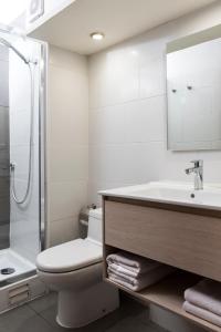 圣地亚哥Hotel Nippon y Centro de Eventos的浴室配有卫生间、盥洗盆和淋浴。