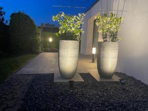 克莱沃Haus Am Damm的两只大白花瓶,里面装有植物
