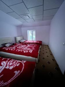 Bagu HOMESTAY的一间卧室设有两张带红色床单的床和窗户。