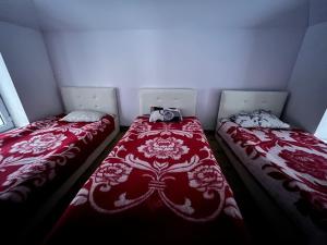 Bagu HOMESTAY的配有红色和白色毯子的客房内的两张床