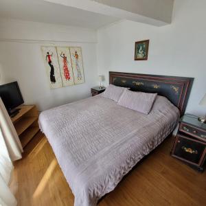 皮奇勒姆Max & Mar Pichilemu的一间卧室配有一张大床和电视