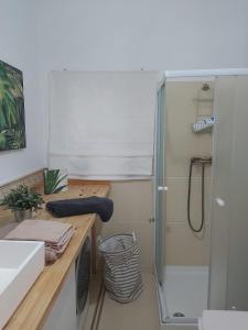 费罗尔Buhardilla en el Cantón的带淋浴和盥洗盆的小浴室