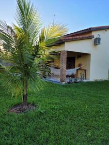 ChavantinaChácara Beira Rio - NX -MT的房子旁的院子中的棕榈树