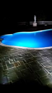 Santa Sofia dʼEpiroAgriturismo Vemi的蓝色的浴缸,位于砖地板上