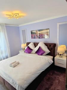 圣路易Charming apartment with Garden, Free Parking near Basel, Airport, Ger'many, France,的一间卧室配有一张带紫色枕头的大床