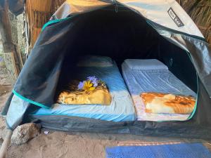 韦尔卡鲍Camping Permacultural Filhos da Floresta的两只动物躺在帐篷里