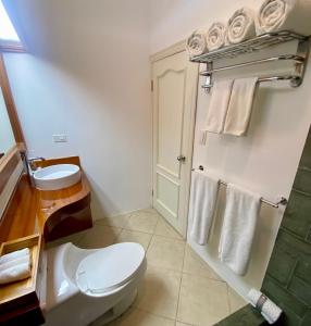 阿约拉港托莱格拉帕格斯精品套房公寓的浴室配有卫生间、水槽和毛巾。