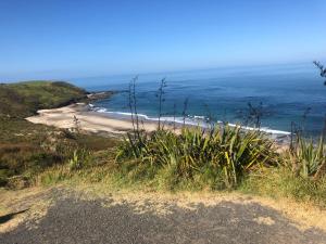 奥波诺尼Omapere Beach Apartments的从带草地的山丘上欣赏海滩美景