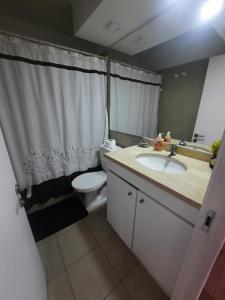 圣地亚哥San francisco 335/317的一间带卫生间、水槽和镜子的浴室