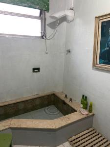 圣保罗Cantinho Allianz Parque的带浴缸的浴室和窗户