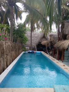 El Paredón Buena VistaEl Puente的度假村内棕榈树游泳池