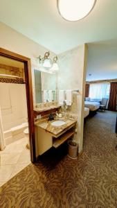萨利达Browns Canyon Inn的一间带水槽和大镜子的浴室