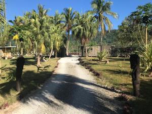 维拉港Vila Del Mare Beachfront Resort的一条土路,上面有棕榈树和栅栏