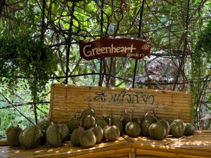 卡塔海滩Greenheart garden View Camp phuket的木桌上展示绿叶仙人掌