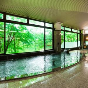 长野Asoviva Nagano Park的一座大型游泳池,位于一座带窗户的建筑内