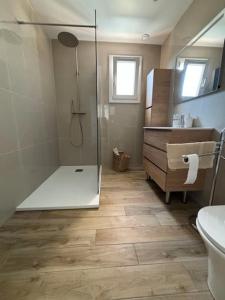 阿帕涅托Villa bord de mer Corse du Sud的带淋浴、卫生间和盥洗盆的浴室
