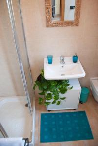 特拉莫Casa Dèlfico Ristoro in famiglia的一间带水槽和植物的浴室