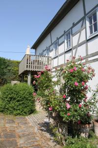 PapstdorfApartmenthaus Brunnenhof的前面有粉红色玫瑰的白色建筑