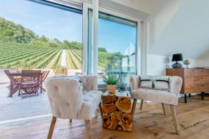 施皮尔费尔德Weingut Holler Chalet的享有葡萄园景致的客厅