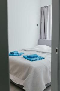 塞萨洛尼基SKG Central Gateaway的一间卧室配有两张床和蓝色毛巾。