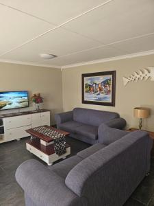 昆斯敦Amberdale Estate Self Catering的客厅配有两张沙发和一台电视机