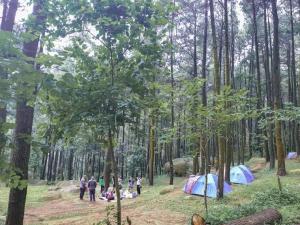 武吉丁宜Tapian Camping Ground的一群人穿过森林,带帐篷