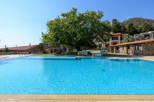 LímniKaminos Evia的一个大型蓝色游泳池,后面有树