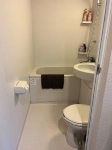 大阪快乐大阪府旅馆的一间带卫生间和水槽的小浴室