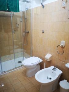 托里诺迪桑格罗vacanze al Mare appartamento in villa的带淋浴、卫生间和盥洗盆的浴室