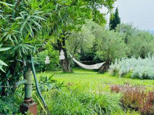 维罗纳Relais Villa dei Gelsi & Spa的花园里挂在树上的吊床