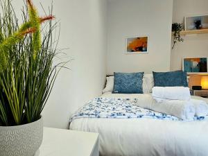 特尔福德Pass the Keys Flat 3 · Stylish Modern Apt with Patio的一间卧室配有一张带蓝色枕头和植物的床