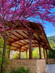 卡索拉卡索拉谷科特酒店的木凉亭,树上种着粉红色的花朵