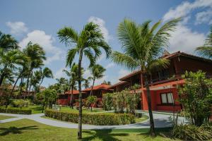 嘎林海斯港塔巴匹坦加旅馆的棕榈树度假村前方
