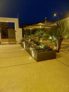 卡拉古诺内尼图诺酒店的天井上放有一堆植物和灯