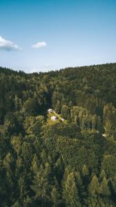 LeszczyniecKryjówka - Jurty ukryte wśród zieleni的山丘上房屋的森林空中景观