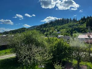 斯拉夫西克Guest House的享有山脉村庄的空中景致