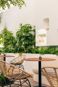 圣埃乌拉利亚Nativo Hotel Ibiza的植物间里的桌椅