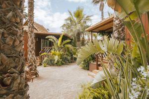圣特罗佩金羊毛酒店的棕榈树和植物的庭院