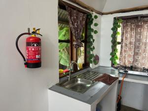 阿鲁沙Cottage in Arusha-Wanderful Escape的一个带水槽的厨房和 灭火器