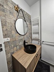 克卢日-纳波卡Oasului Residence的一间带水槽和镜子的浴室