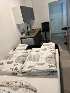 杜伊斯堡Apartment 2 in Duisburg-Mitte, Altstadt的带2张床的客房,设有带水槽的厨房