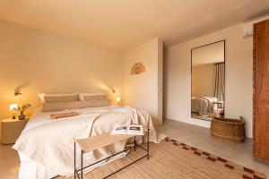 圣何塞Boutique Hotel Jardines de Palerm的一间卧室配有一张大床和镜子