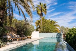 圣何塞Boutique Hotel Jardines de Palerm的一个带躺椅和棕榈树的游泳池