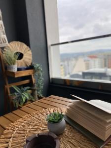 贝尔格莱德Apartment Unamare的一张木桌,上面有一本书和一株植物