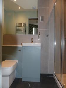 切斯特Hamilton Court Hotel的浴室配有卫生间、盥洗盆和淋浴。