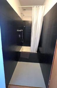 里肯巴赫Bodea Alpenblick的带淋浴和浴帘的浴室