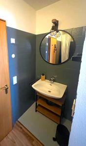 里肯巴赫Bodea Alpenblick的一间带水槽和镜子的浴室