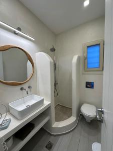 阿吉亚利艾里亚一室公寓的一间带水槽、卫生间和镜子的浴室